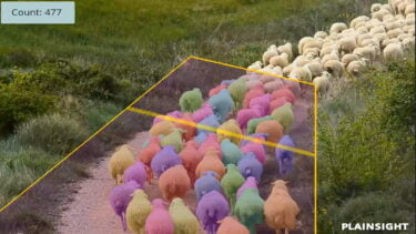 AI counts sheep: How computer vision is changing agriculture