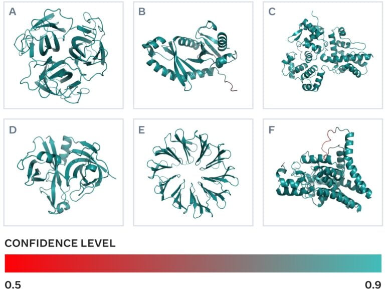 Proteinstrukturen von ESMFold vorhergesagt