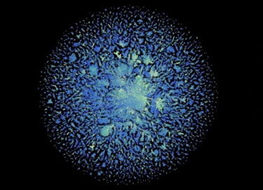 Meta abandons protein-folding AI project, focusing on commercial generative AI instead