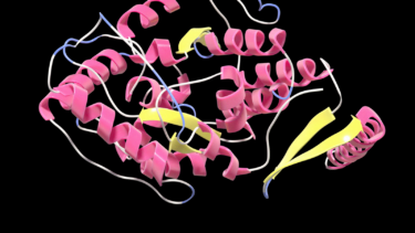 ProT-VAE & Nucleotide Transformer: New Models Enable Protein Engineering