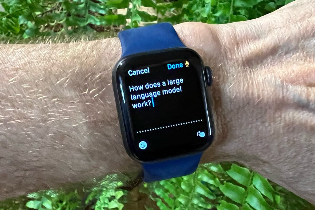 Alan Truly asks the Petey Apple Watch app about large language models.