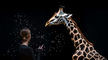 ILLUME: Can AI models learn why giraffes are giraffes?