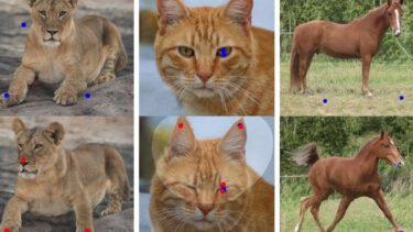 DragGAN: A new era in image editing?