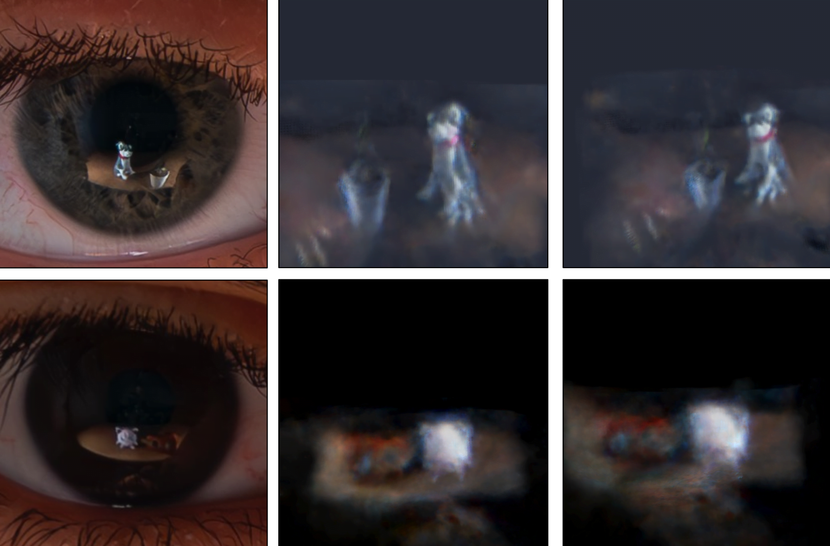Links sieht man eine Iris mit Spiegelung, rechts davon eine 3D-Rekonstruktion dieser Spiegelung.