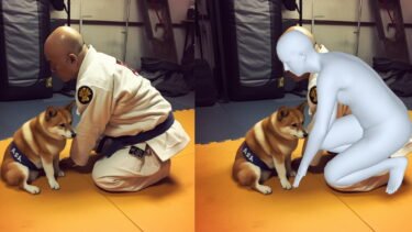 4D Humans reconstructs and tracks humans from video