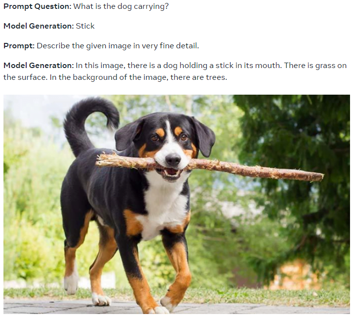 A dog with a stick in his mouth.