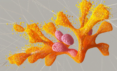 Isomorphic Labs prepares for its first human trials with drugs designed by AlphaFold