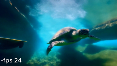 Text-to-Video AIs Runway Gen-2 and Pika Labs get new features