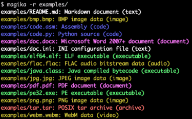 Google Magika is an accurate and fast AI-based open-source file type recognition tool