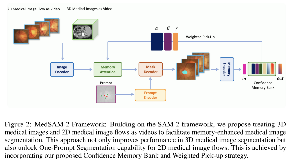 Oxford researchers unveil MedSAM-2, an AI that could change how doctors analyze medical images