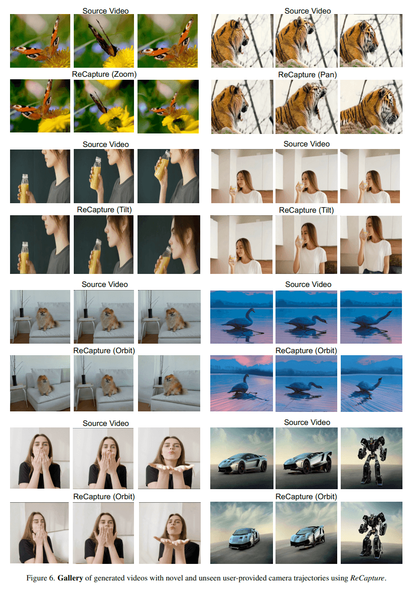 Image gallery with six rows of video sequences: butterfly on flower, tiger, photographed drinks, Pomeranian dog, swan in water and transformation from car to robot.