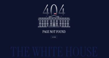 Trump's reversal of Biden's AI safety rules puts US on fast track in AI race