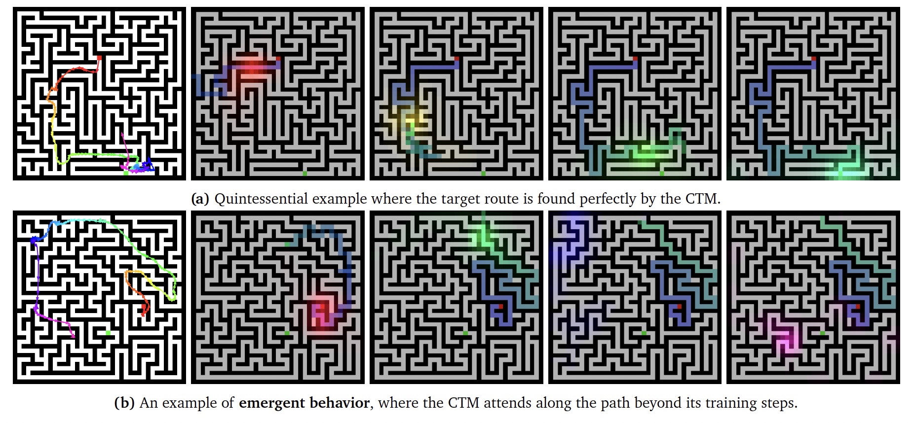 CTM solves mazes (39x39): Attention paths (arrows) & heatmaps show perfect (a) & emergent (b) AI solution paths.