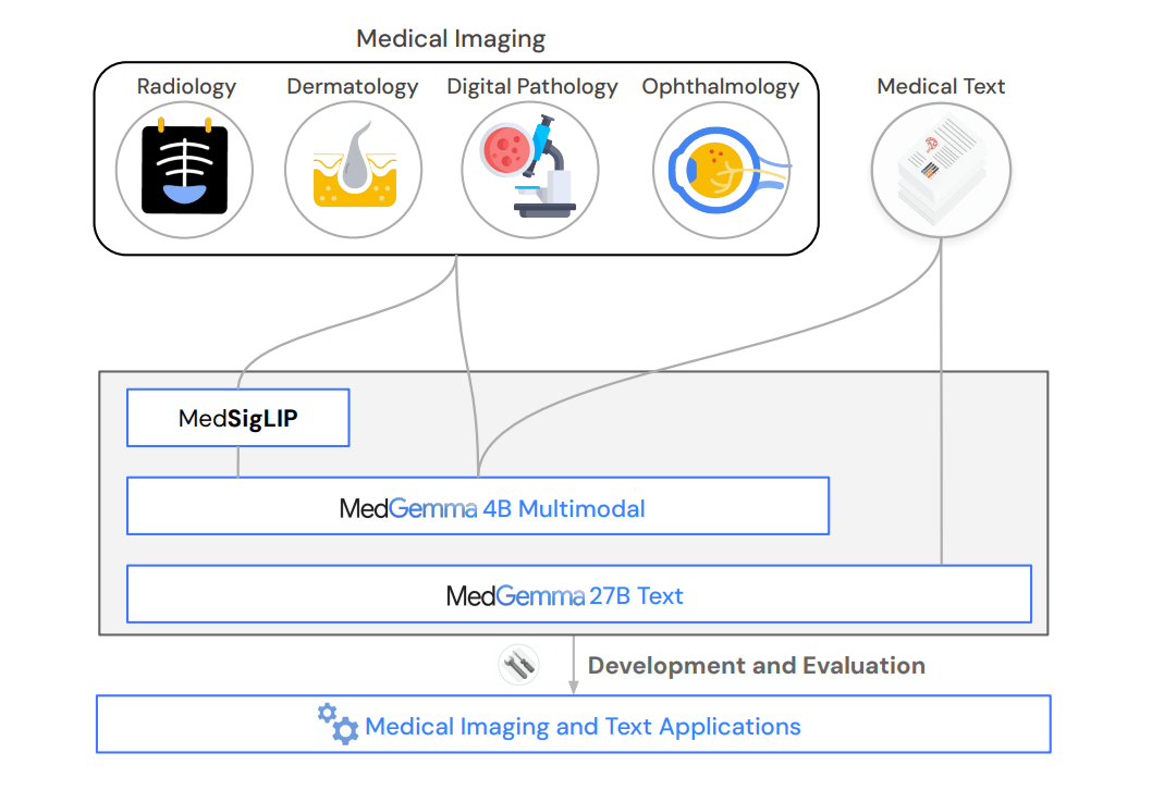 Schema: MedSigLIP encodes medical images for MedGemma 4B, while MedGemma 27B processes medical text.
