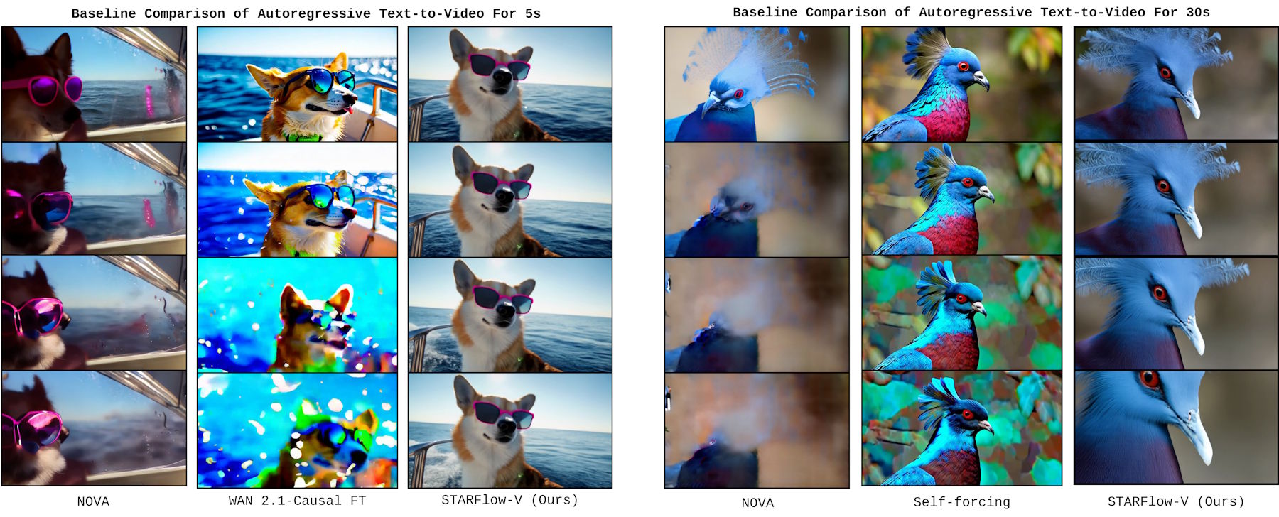 Comparison graphic in two parts. Left: Three models (NOVA, WAN 2.1-Causal FT, STARFlow-V) generate 5-second videos of a dog. Right: Same comparison at 30 seconds with bird footage, STARFlow-V shows significantly better quality.