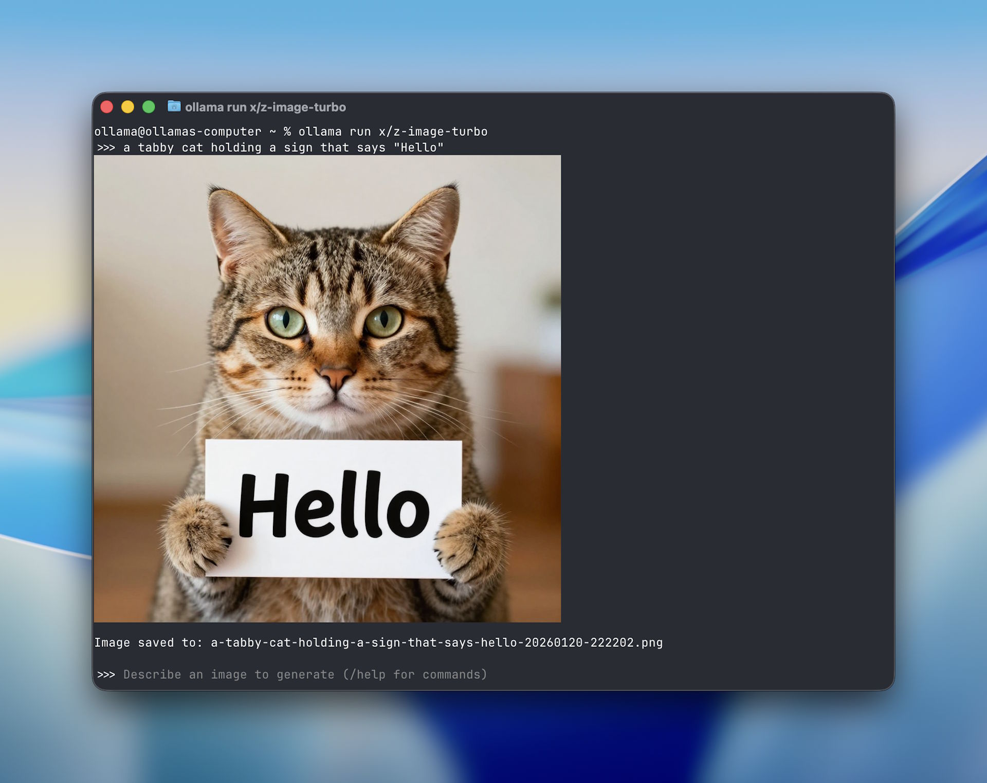 Terminal-Fenster zeigt Ollama-Prompt für eine Katze mit "Hello"-Schild und das generierte KI-Bild im Interface.