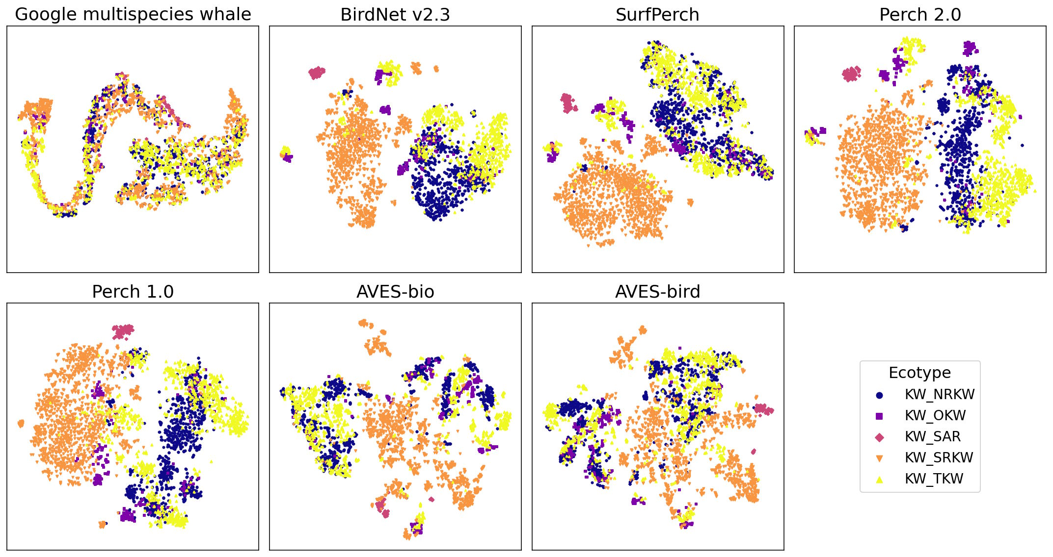 Seven scatter plots showing how different bioacoustic models cluster orca sounds from five subpopulations. Perch 2.0 and BirdNet v2.3 form clearly separated color clusters, while the Google Multispecies Whale Model shows heavily mixed point clouds.