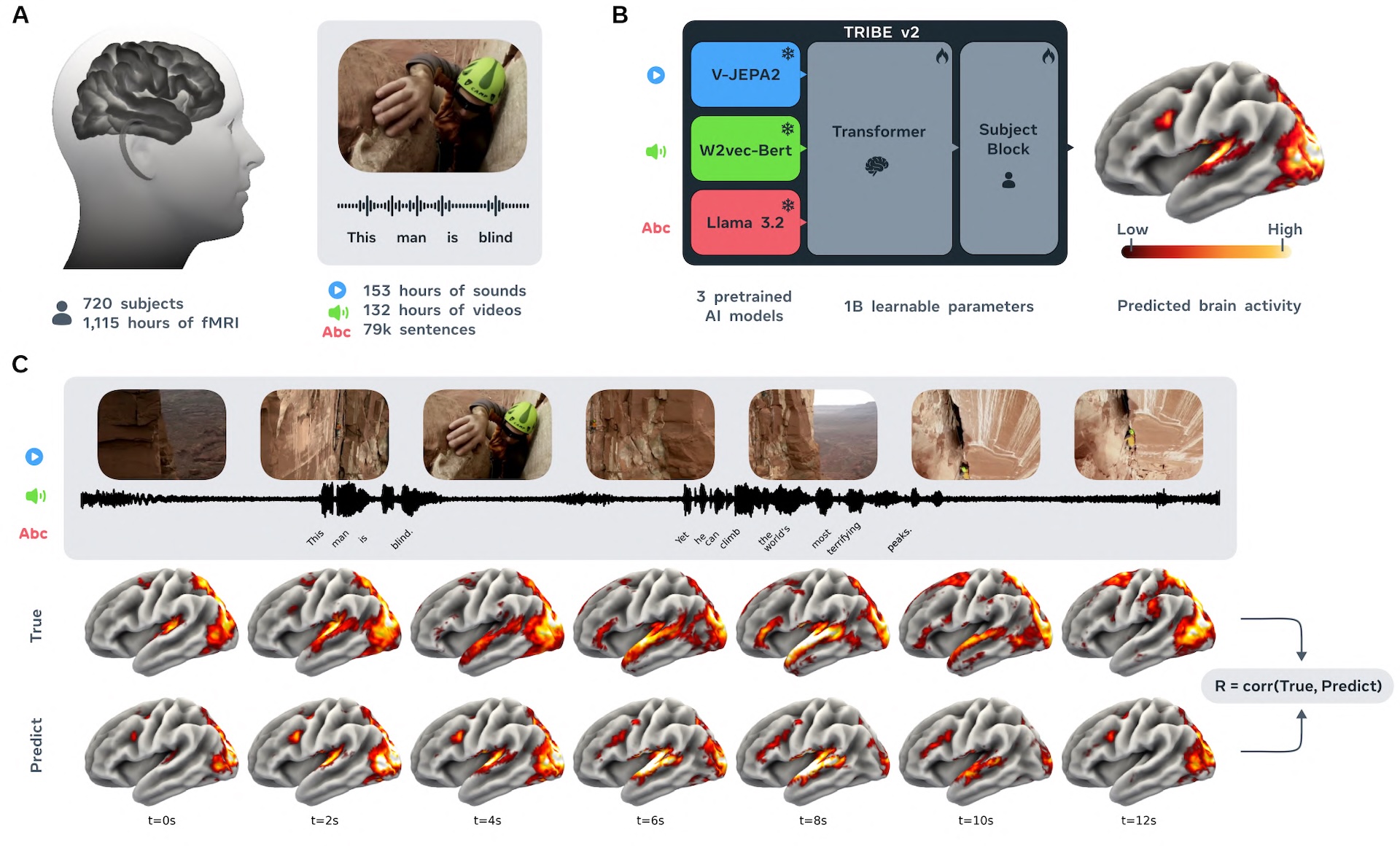 Diagram showing TRIBE v2's architecture: video, audio, and text inputs are processed through three pre-trained Meta AI models before a transformer predicts brain activity, with a comparison of measured versus predicted fMRI data for a movie clip.